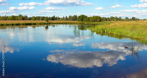 Summer rushy lake