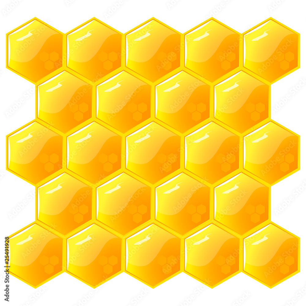 Honeycomb, isolated on the white. Vector. Honeycomb, isolated on the white. Vector.