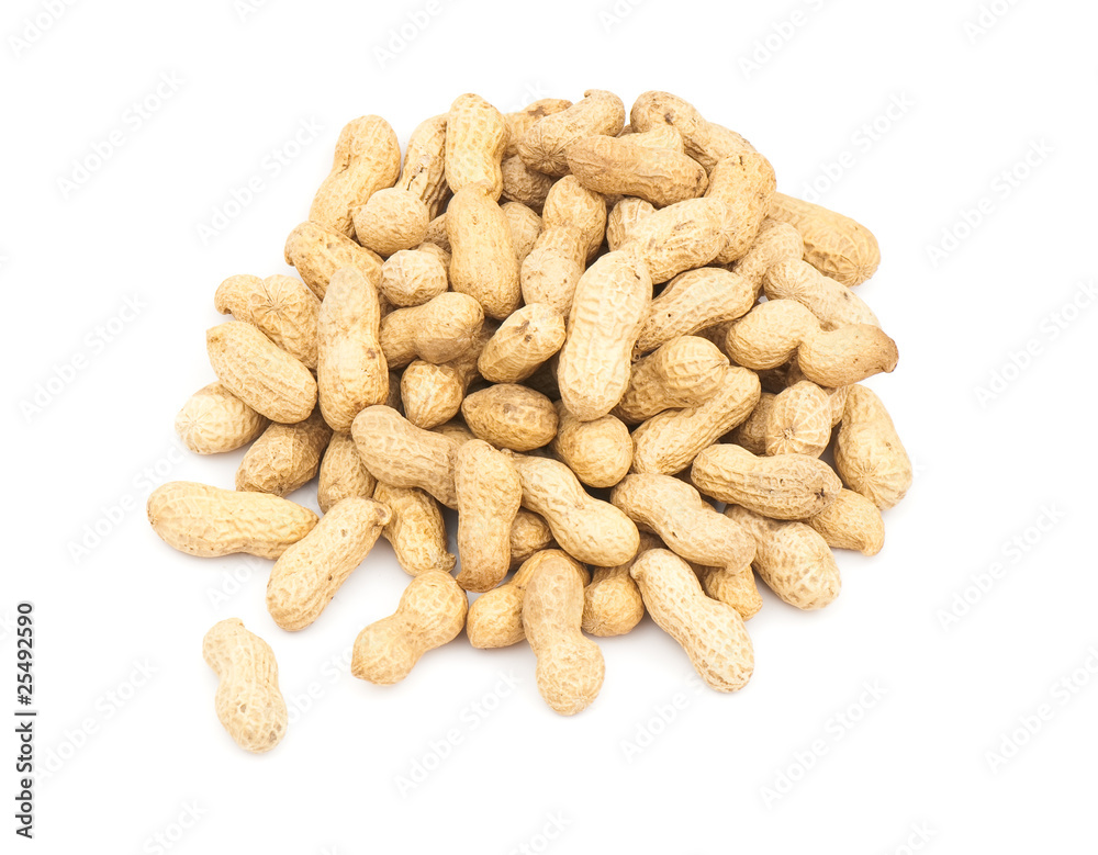 Peanut Peanut