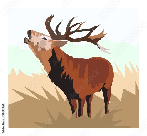 deer