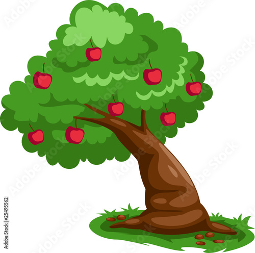 Apple tree