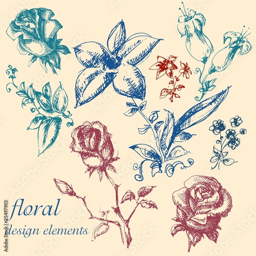 Floral design elements collection