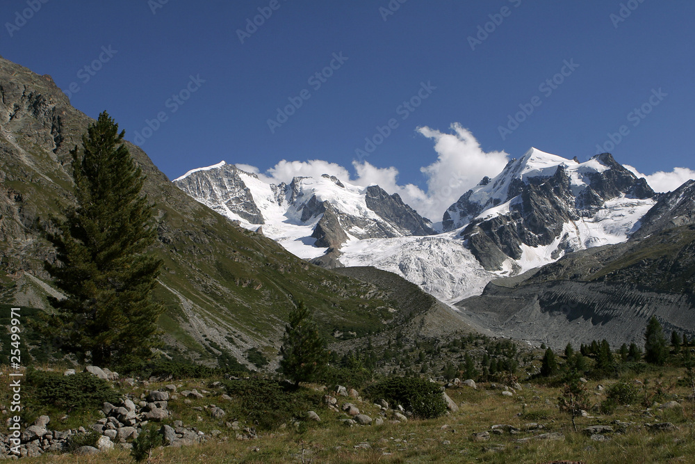 Il gruppo del Bernina dalla Val Roseg - Engadina