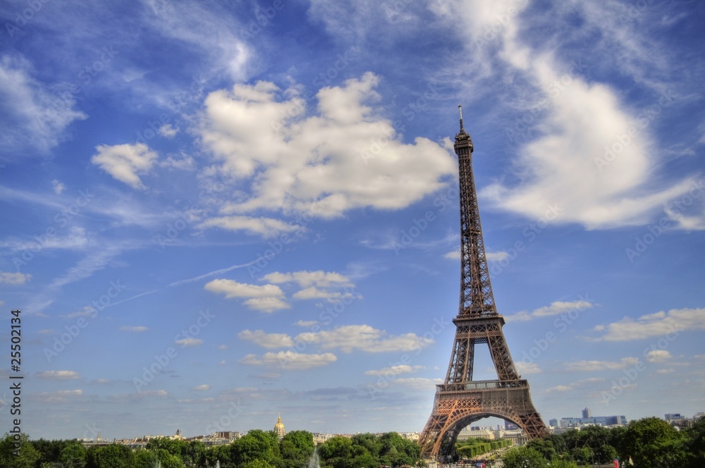 Fototapeta premium Eifel Tower - Paris (France)