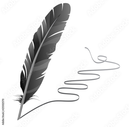 Vector feather