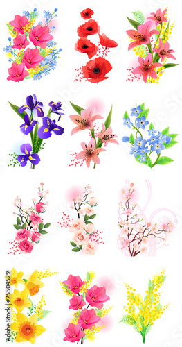 Fototapeta Naklejka Na Ścianę i Meble -  Vector set of different realistic flowers