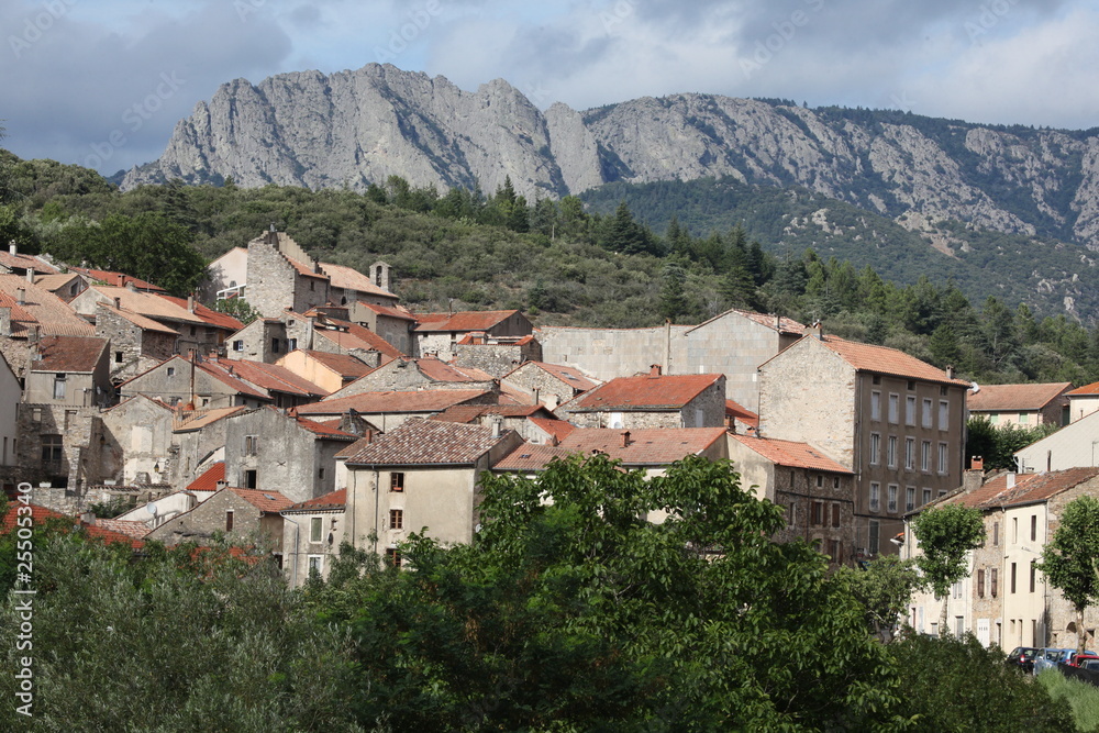 View of Olargues in Languedoc