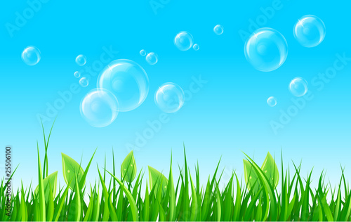 Soap bubbles on summer meadow