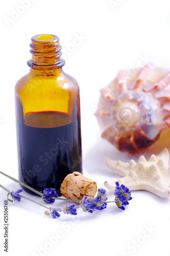 Herbal medicine with herbs and marine animals