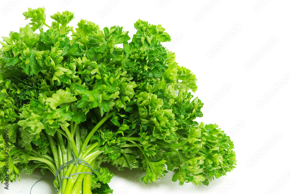 parsley parsley