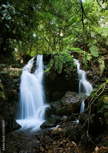 Waterfalls of Bwindi forest. 2