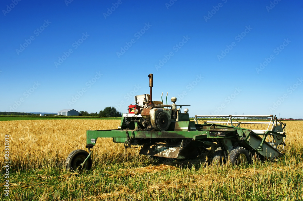 Fototapeta premium Old rusted combine harvester and barley field