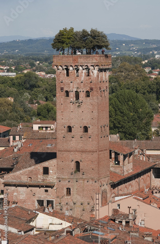 Torre Guinigi - Lucca