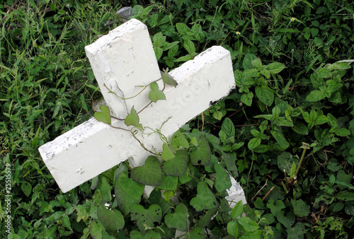 grave photo