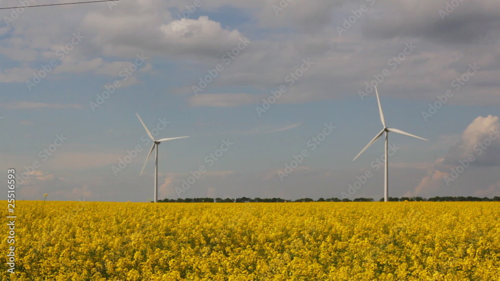 Alternative energy on yellow field,time lapse Alternative energy on yellow field,time lapse