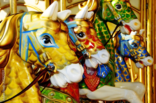 carousel photo