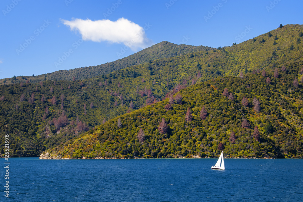 Sailing Boat in Marlborough Sounds, New Zealand.