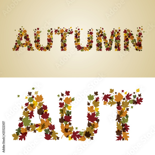 autumn leaves 2
