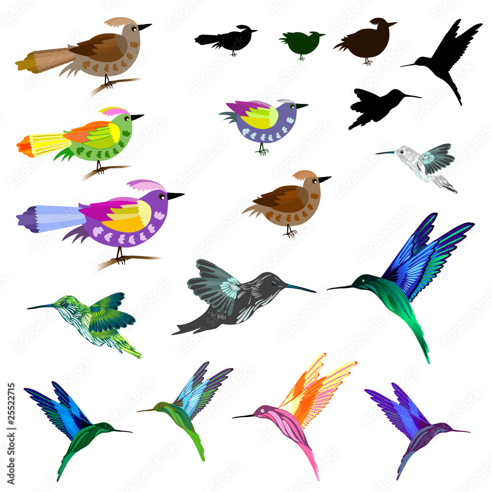 Obraz premium Birds set