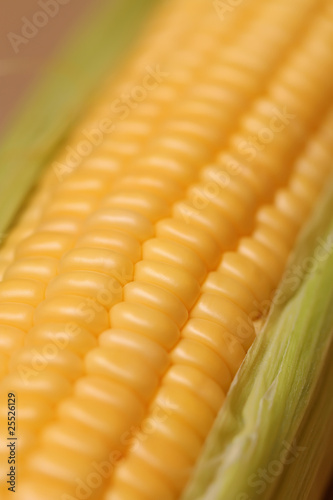 Corn