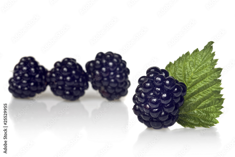 blackberry with green leaf isolated on white blackberry with green leaf isolated on white