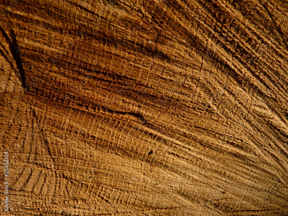 Fototapeta premium Holzmaserung