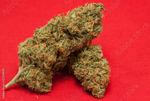 marijuana