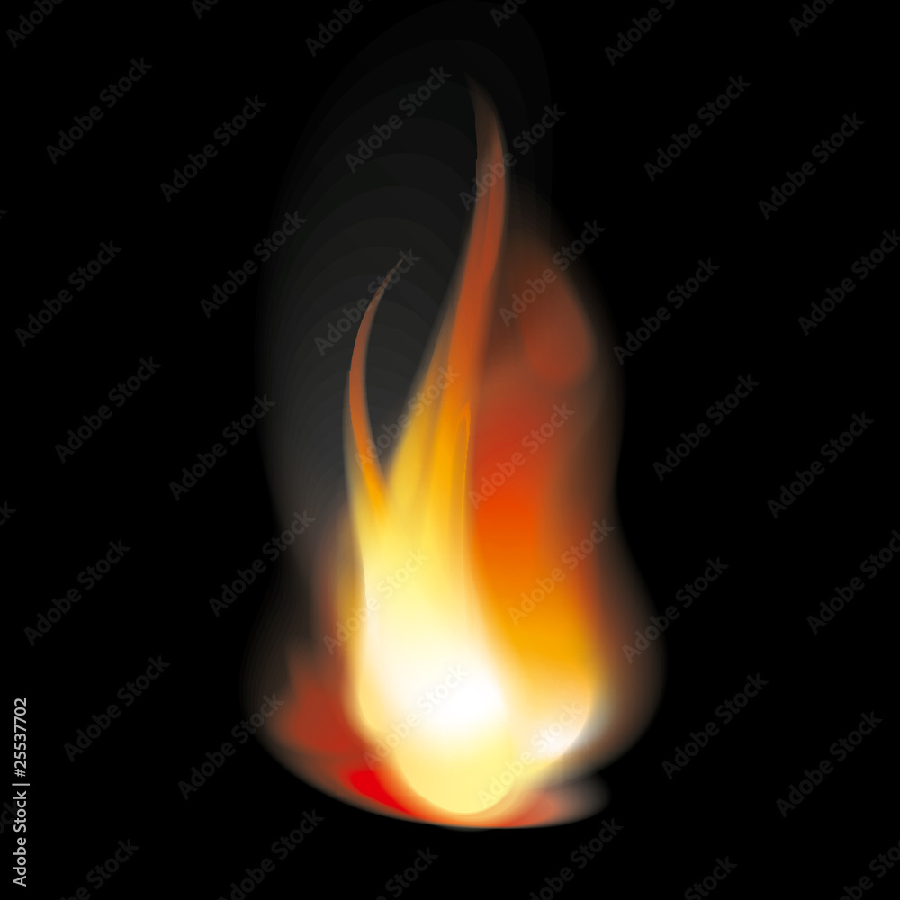 Flame tongues Flame tongues