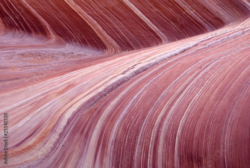 Canvas Print The Wave, Paria canyon
