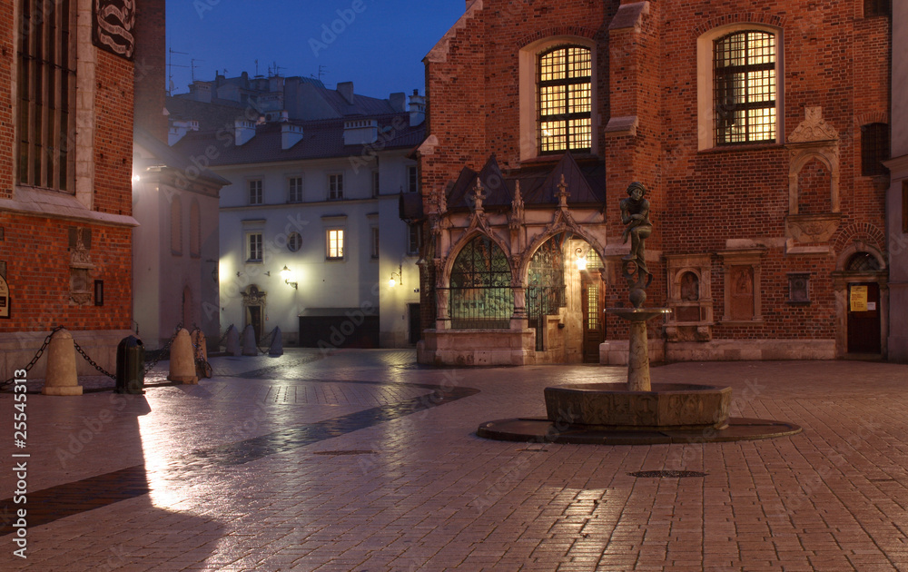 Mysterious Mariacki Square by night, Krakow, Poland