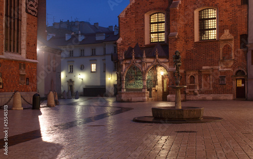Mysterious Mariacki Square by night, Krakow, Poland #25545313
