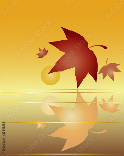 leaf reflections