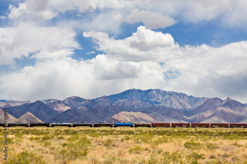 Obraz premium Desert Train