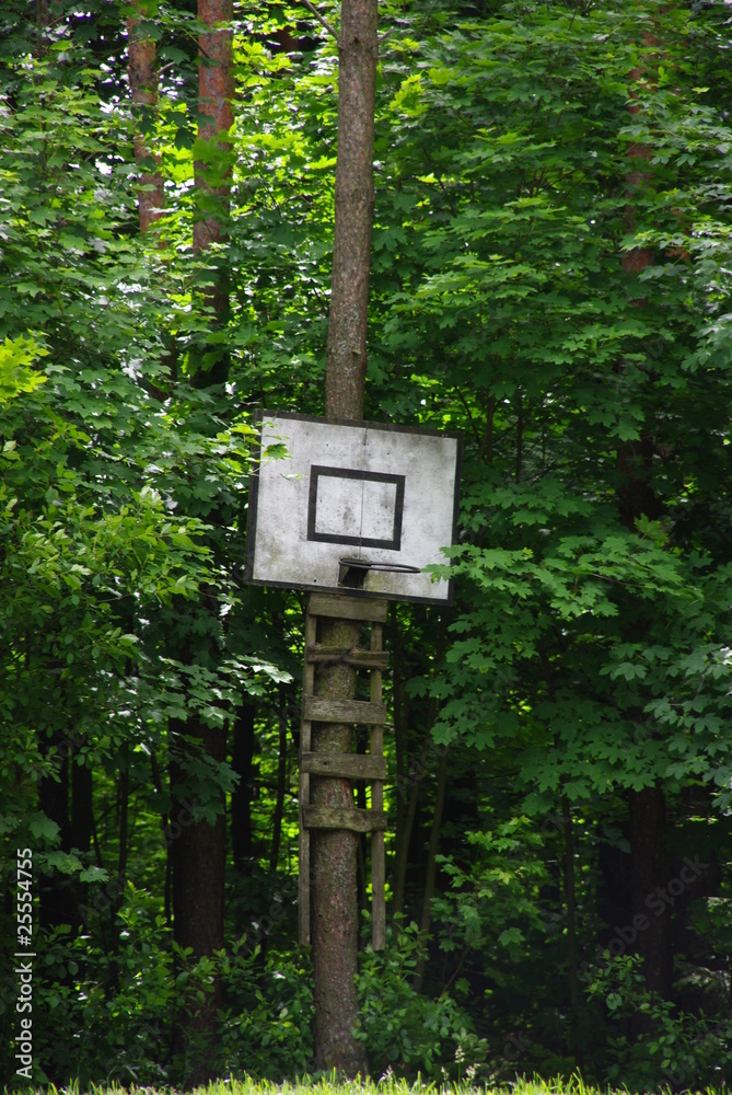Koszykówka - obrazy, fototapety, plakaty 