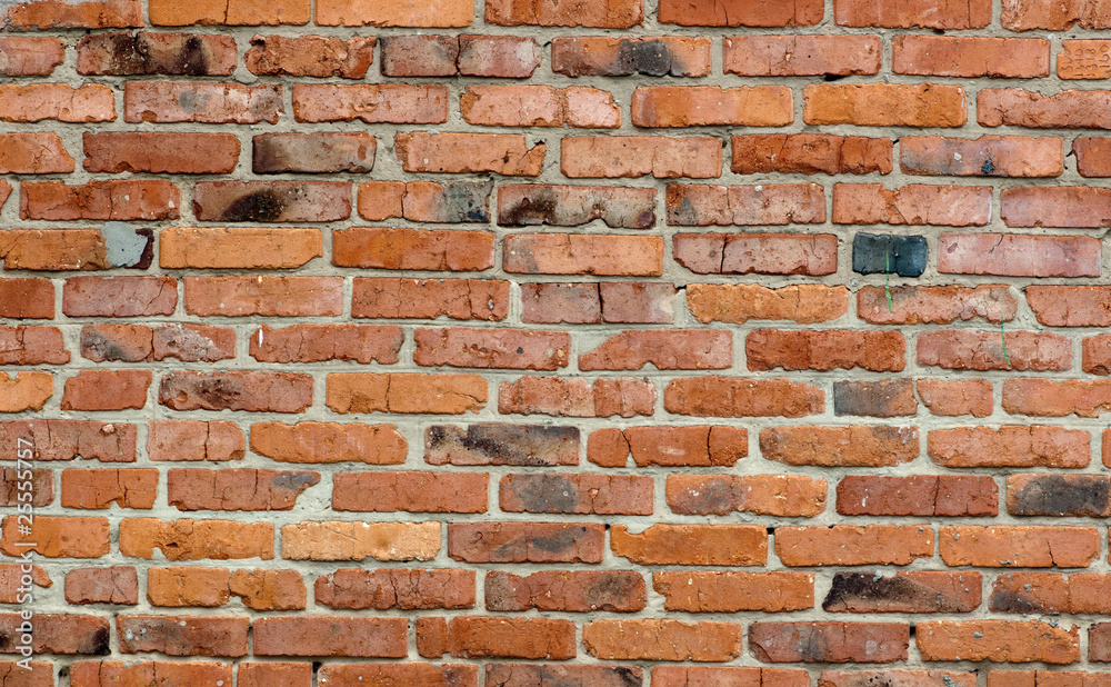 Obraz premium brick wall
