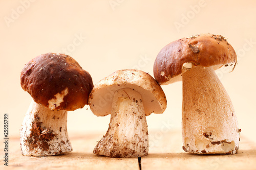 three cep mushrooms standing on wooden board