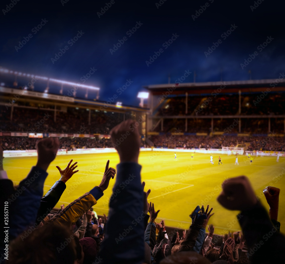 Fototapeta premium Football Excitement