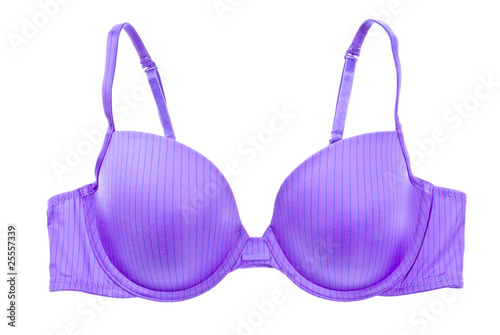 Purple Striped Bra Isolated on White
