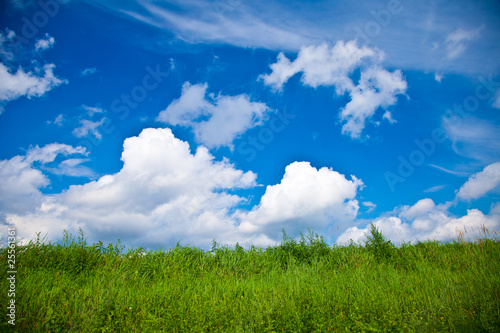 Rural landscape