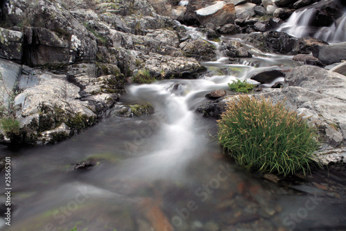 Arroyo de la Zambrana photo