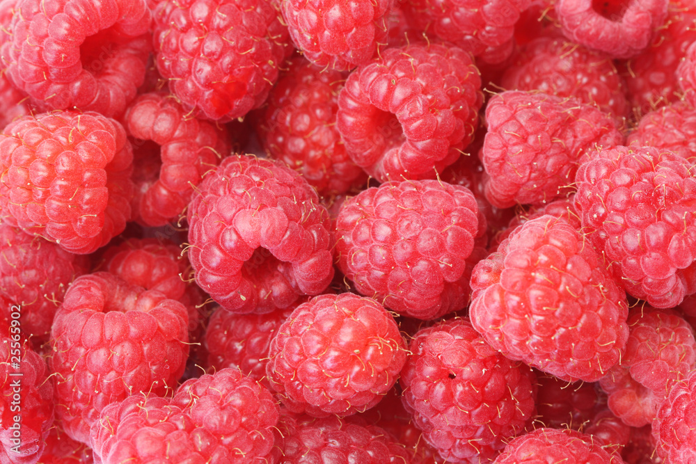 raspberry