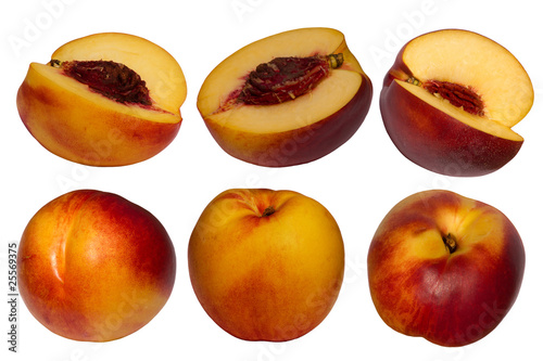 Fruit  hybrid  peach  apricot  collection