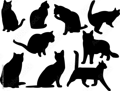 cats silhouettes vector