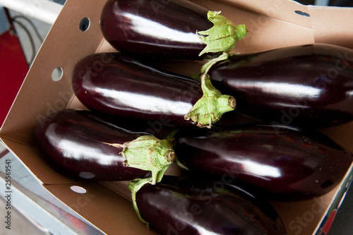 Box fresh aubergines