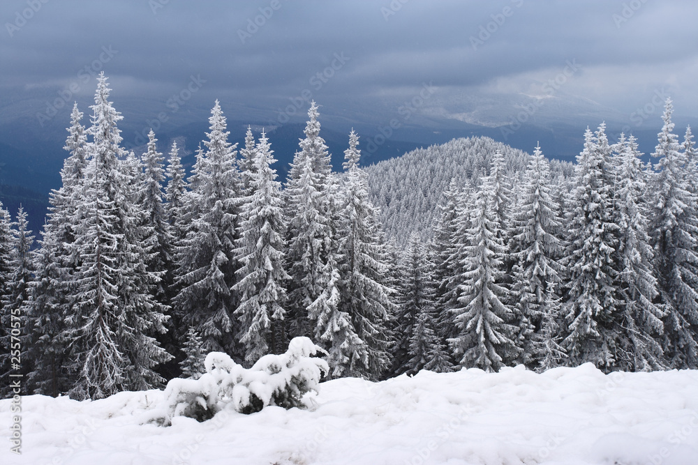 Obraz premium winter in mountains