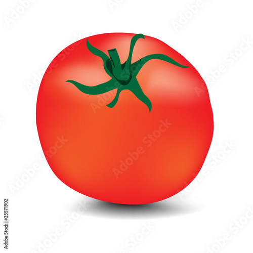 Tomato