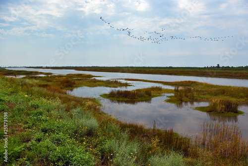 In estuaries