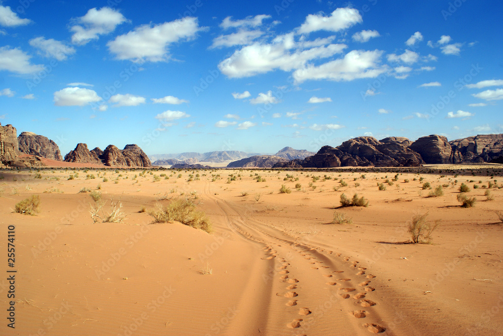 Fototapeta premium Desert Wadi Rum