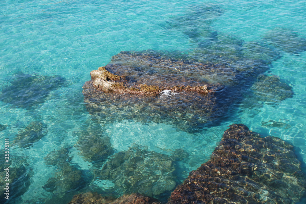 Clear Water Clear Water