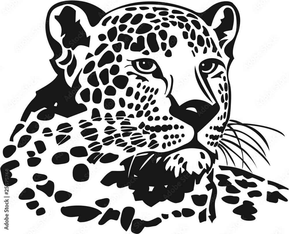 Fototapeta premium Leopard Vinyl Ready ilustracji wektorowych